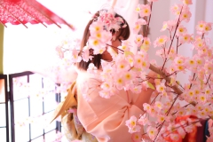 春一番♪桜と着物でひな祭り