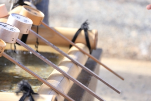 ☆もう来年の準備です☆